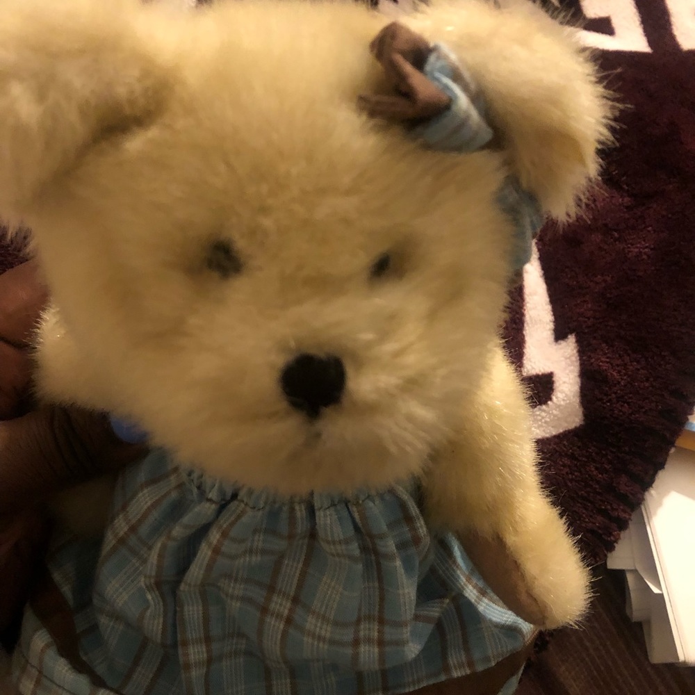 Boyd’s Bear - Picture 5 of 7